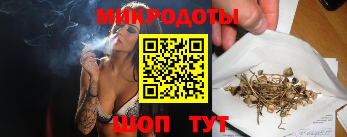 Галлюциногенные грибы Psilocybe  Вход с VPN  Долгопрудный 