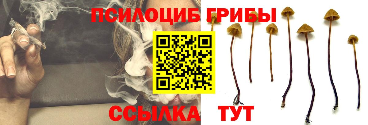 Галлюциногенные грибы Magic Shrooms Долгопрудный